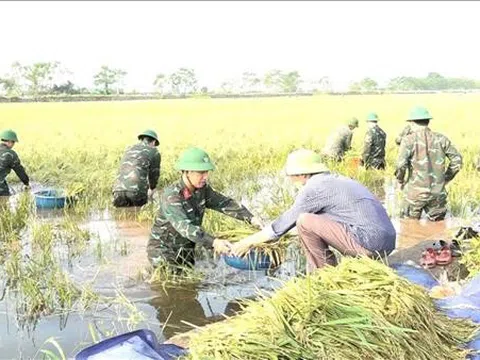 Triển khai các biện pháp nhanh chóng phục hồi sản xuất nông nghiệp sau bão số 3 và mưa lũ