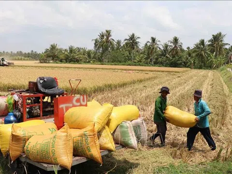 Công bố Đề án thúc đẩy hợp tác quốc tế trong nông nghiệp và phát triển nông thôn đến năm 2030, tầm nhìn đến năm 2050