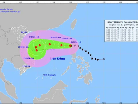 Công điện của Thủ tướng Chính phủ chỉ đạo chủ động ứng phó bão TRAMI