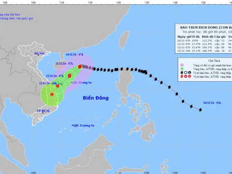 Chủ động ứng phó với diễn biến và tác động của bão số 7, lại xuất hiện cơn bão mới có tên là TORAJI