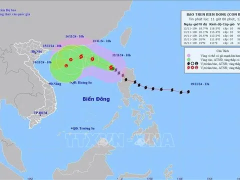 Bão số 8 giật cấp 12 trên khu vực Bắc Biển Đông, mưa lớn ở khu vực Trung Bộ và Tây Nguyên