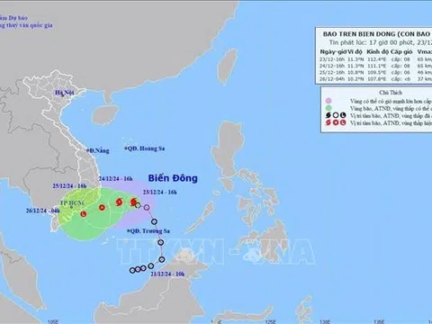 ​Các tỉnh, thành phố ven biển từ Phú Yên đến Cà Mau chủ động ứng phó bão số 10