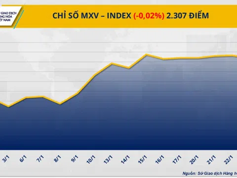 Giá cà phê Robusta gần chạm mức lịch sử, giá dầu quay đầu lao dốc