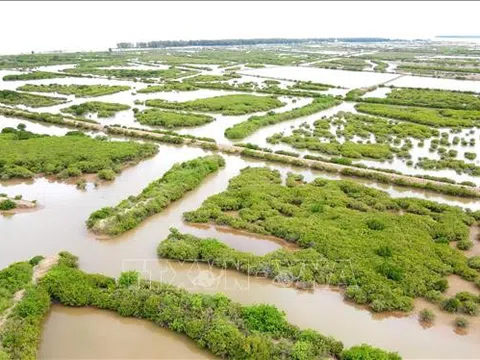 Ngày Đất ngập nước thế giới (2/2) năm 2025: Bảo vệ đất ngập nước vì tương lai của chúng ta