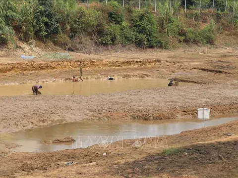 Kon Tum: Công trình thủy lợi cạn đáy, người trồng cà phê có nguy cơ mất mùa