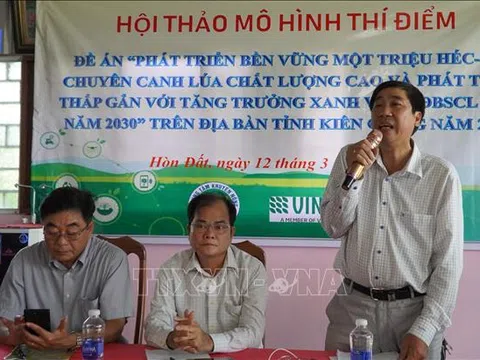 Kiên Giang: Mở rộng diện tích thực hiện Đề án 1 triệu ha lúa chuyên canh chất lượng cao