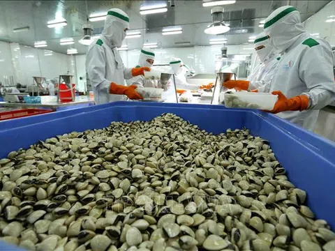 Bốn tháng đầu năm, xuất siêu nông - lâm - thủy sản gần 5,2 tỷ USD