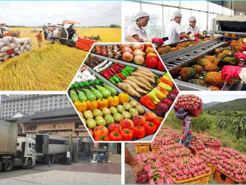 Bảo đảm sản xuất, tiêu thụ, xuất khẩu nông lâm thủy sản trong bối cảnh biến động thương mại toàn cầu