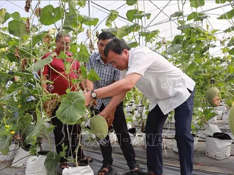 Trà Vinh ứng dụng công nghệ nâng cao năng suất, chất lượng nông sản