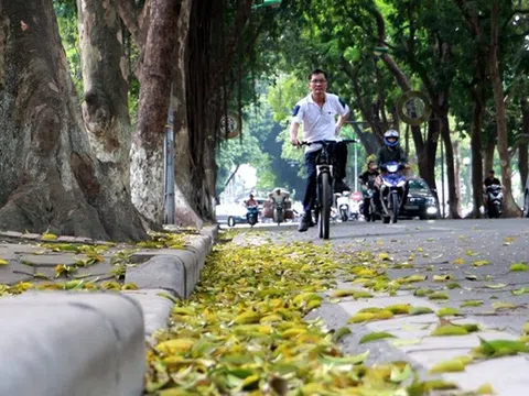 Bắc Bộ và Bắc Trung Bộ đêm có mưa, ngày nắng