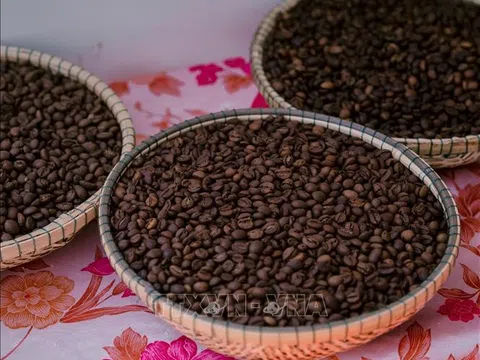 Ngành hàng cà phê Việt Nam bước vào giai đoạn “vàng” để bứt phá