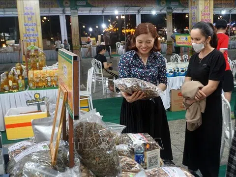 Quảng Nam: Triển lãm trưng bày sản phẩm OCOP và nông nghiệp