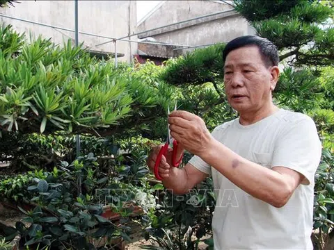 Nam Định: Nhiều tập thể, cá nhân làm việc có ích theo gương Bác