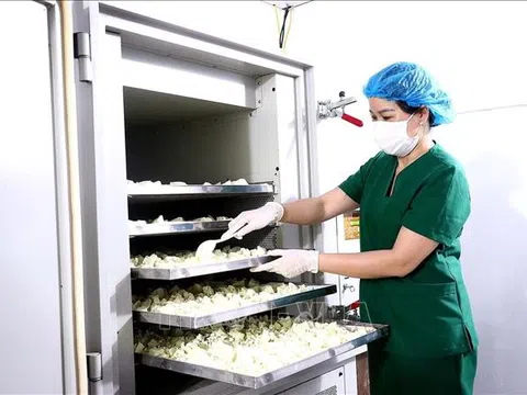 Hoà Bình: Gia tăng nội lực và giá trị cho sản phẩm OCOP