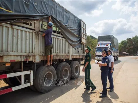 Xử lý nghiêm các vi phạm về nông lâm thủy sản và vật tư nông nghiệp