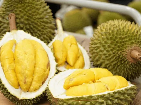 Thủ tướng Chính phủ chỉ đạo thúc đẩy sản xuất và xuất khẩu sầu riêng bền vững