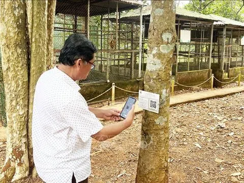Bình Phước: Bảo vệ rừng ở Vườn quốc gia Bù Gia Mập bằng mã QR 