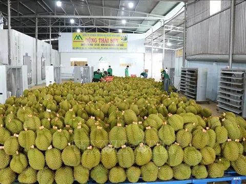 Ưu tiên thông quan ngay với hàng hóa xuất khẩu là nông lâm thủy sản và sầu riêng