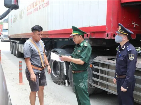 Lạng Sơn: Giải quyết nhanh thủ tục thông quan xuất khẩu nông sản