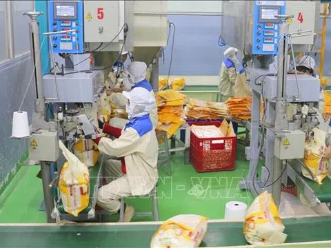 Việt Nam thuộc nhóm nước tự chủ lương thực hàng đầu