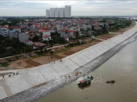 Chú ý triển khai công tác hộ đê, đảm bảo an toàn hệ thống đê điều