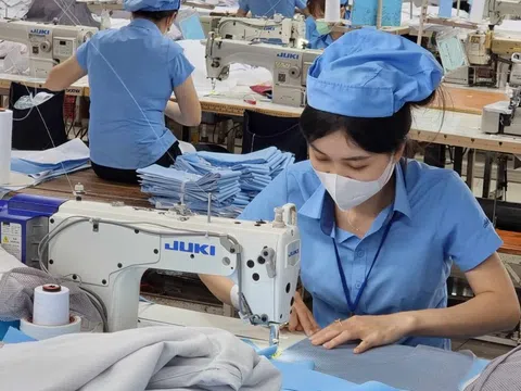 Hội đồng Tiền lương quốc gia năm 2025 chưa đạt được phương án tăng lương