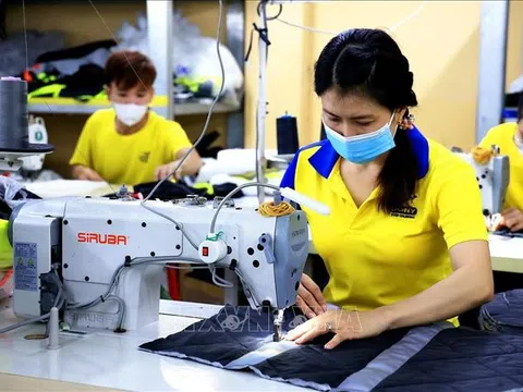 Công đoàn Việt Nam đề xuất tăng lương tối thiểu vùng mức 9,2%