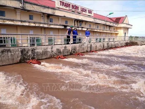 Bắc Bộ và Bắc Trung Bộ còn gần 58.000 ha cây trồng cần tiêu úng