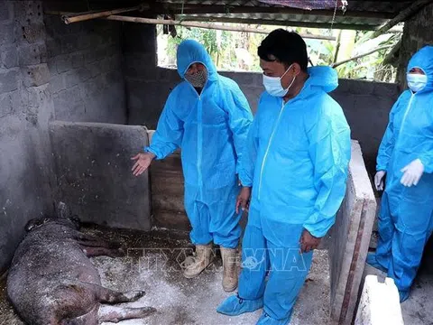 Nông nghiệp ứng phó dịch bệnh và chính sách thuế quan để giữ đà tăng trưởng