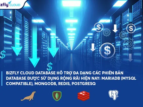 Giảm chi phí triển khai ban đầu và đáp ứng truy cập cao nhờ Bizfly Cloud Database