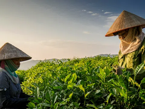 Thái Nguyên: Xây dựng nông thôn mới nâng cao