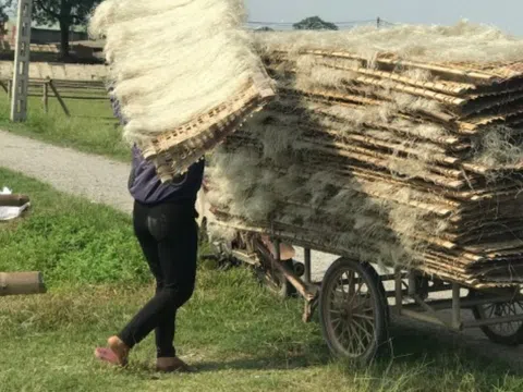 Tăng giá trị sản phẩm miến dong làng So