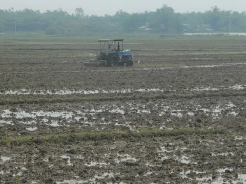 Triển khai vụ đông xuân linh hoạt để ứng phó thiên tai