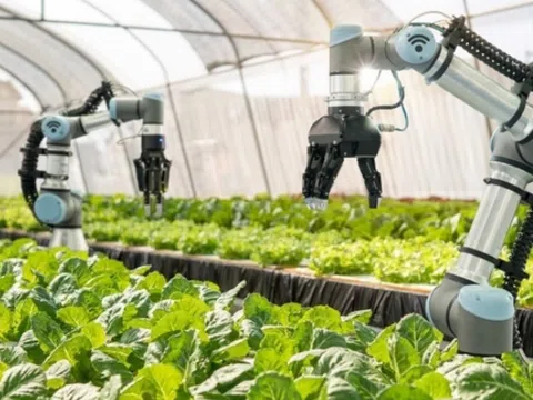 Khoa học công nghệ trong nông nghiệp: Thúc đẩy xã hội hóa đầu tư để phát huy tiềm lực