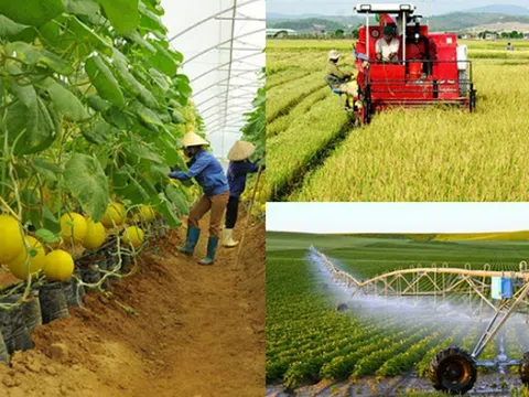 Để HTX trở thành thể chế quan trọng ở nông thôn và thúc đẩy nông nghiệp phát triển bền vững
