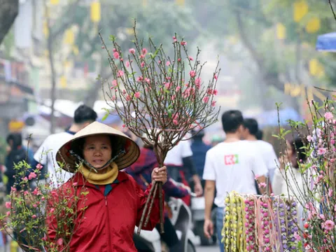 Hà Nội sẽ tổ chức 91 điểm chợ hoa phục vụ Tết Nguyên đán Quý Mão 2023