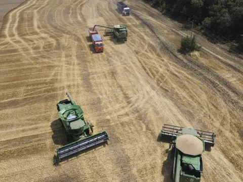 Trung Quốc cho phép nhập khẩu lúa mì của Nga, kêu gọi đàm phán về Ukraine