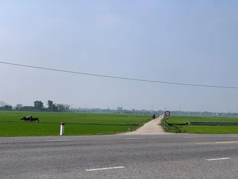 Đất nông thôn có giá khởi điểm 'trên trời': Ồ ạt bán khi chưa xong hạ tầng