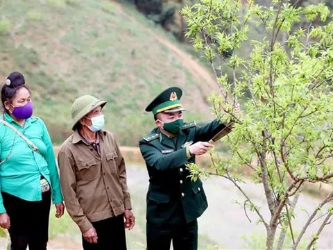 Phát triển bền vững kinh tế-xã hội nơi "phên dậu" quốc gia