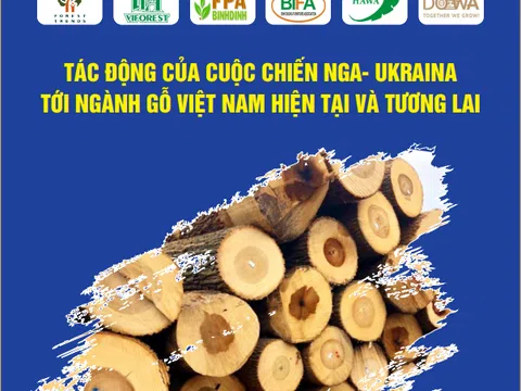 Cuộc chiến Nga - Ukraine đẩy ngành gỗ Việt Nam vào nguy cơ thiếu nguyên liệu