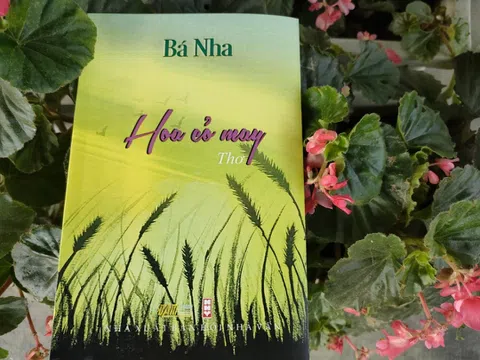 Đôi dòng cảm nhận tập thơ “Hoa cỏ may” của Bá Nha