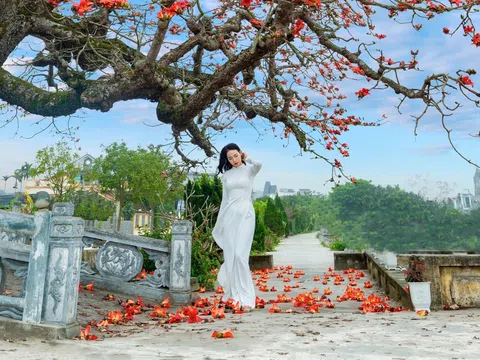 Bộ ảnh đẹp về thiếu nữ bên hoa gạo của nhiếp ảnh gia Cao Sơn