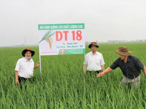Hỗ trợ phát triển HTX Nông nghiệp trong tình hình mới: Những vấn đề thiết thực cần trao đổi