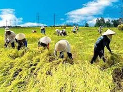 TS. Lê Thành Ý: Phát triển kinh tế hợp tác, Hợp tác xã và hoàn thiện thể chế đất đai trong Nông nghiệp (Kì 2)