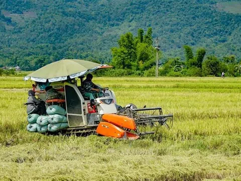 Tọa đàm kết nối doanh nghiệp nông nghiệp Việt Nam-Hoa Kỳ