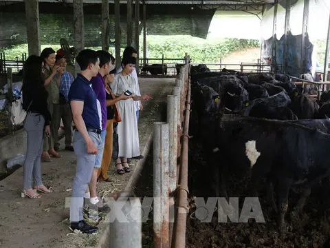 Tạo cầu nối cho các sản phẩm nông nghiệp sạch