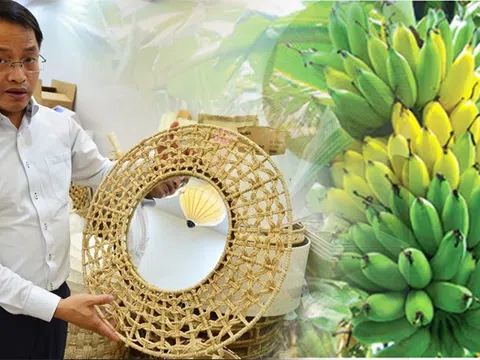 Loại phụ phẩm bò, lợn cũng chán ăn; thay vì vứt bỏ chàng trai biến nó thành mặt hàng triệu đô