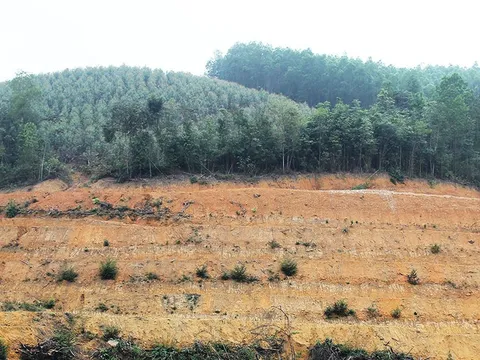 Phê duyệt Kế hoạch sử dụng đất năm 2022 của huyện Sơn Động