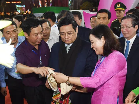 Dấu ấn Thủ đô tại Festival Trái cây và sản phẩm OCOP Việt Nam năm 2022