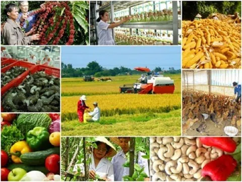 TS. Lê Thành Ý: Đối thoại về hệ thống lương thực thực phẩm ở Việt Nam